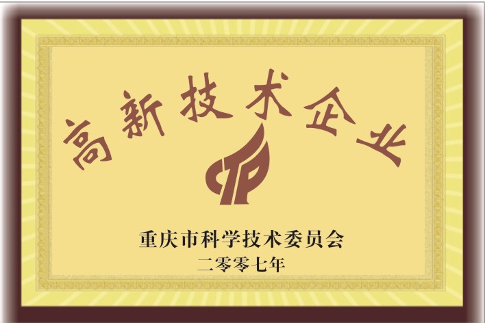 高新企业2007年